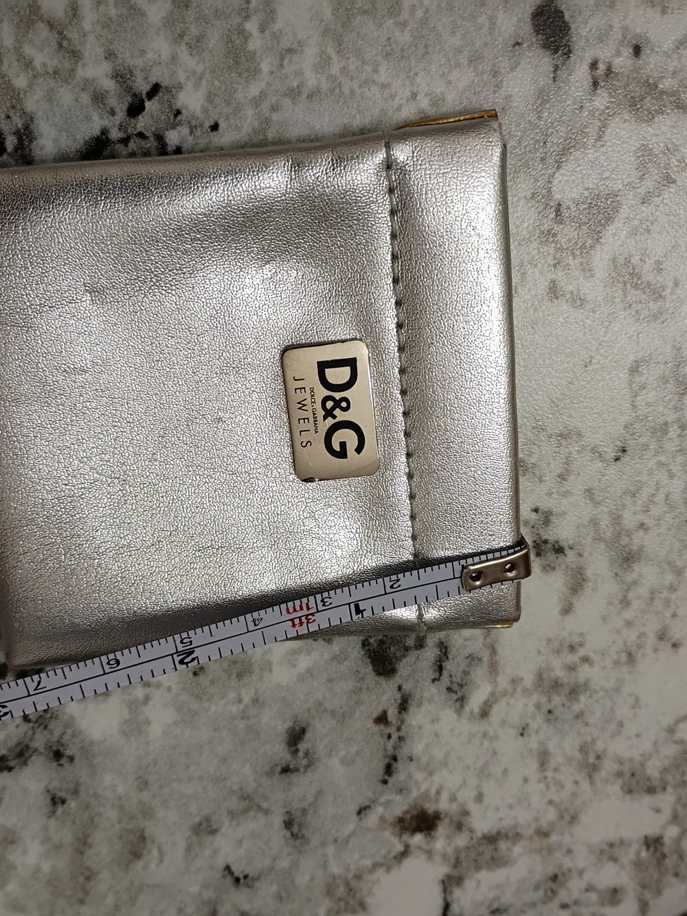 Dolce & Gabbana Metallic Silver Tiny Pouch with D&G Plaque